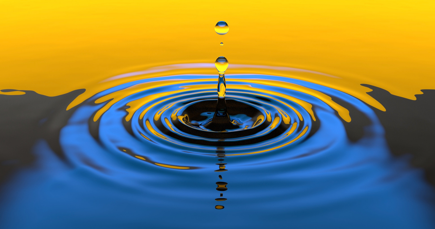 IB Physics Topics C.1-C.5 Complete Package | Waves, Oscillations & Sound Study Materials (2025)